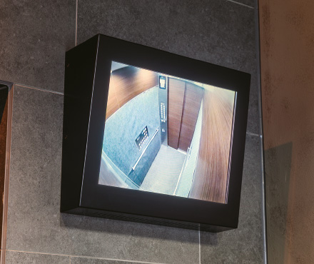 EV Hall Monitor