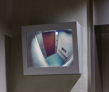 EV Hall Monitor
