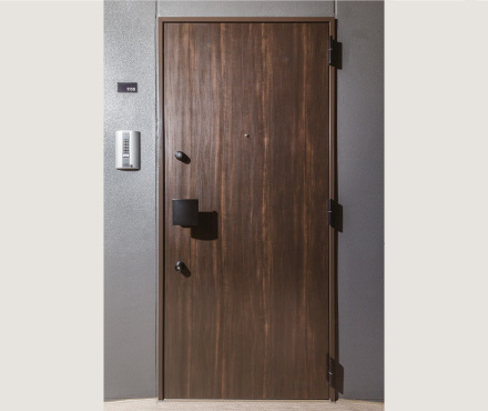 Entrance Door