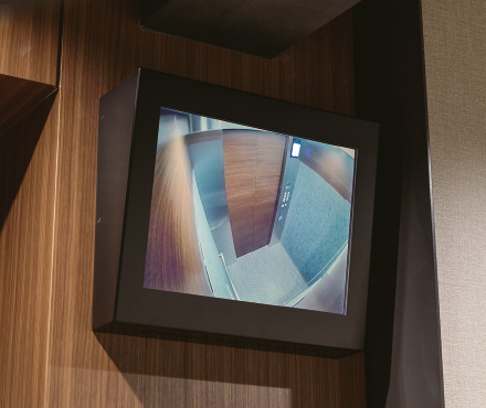 EV Hall Monitor
